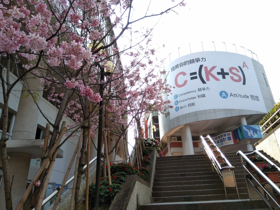 Cherry Blossoms on Campus of Lunghwa University of Science and Technology