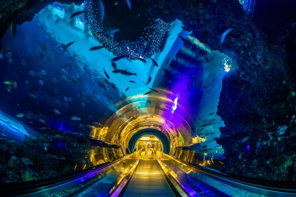 國立海洋生物博物館